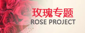 玫瑰鲜花