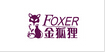 金狐狸logo